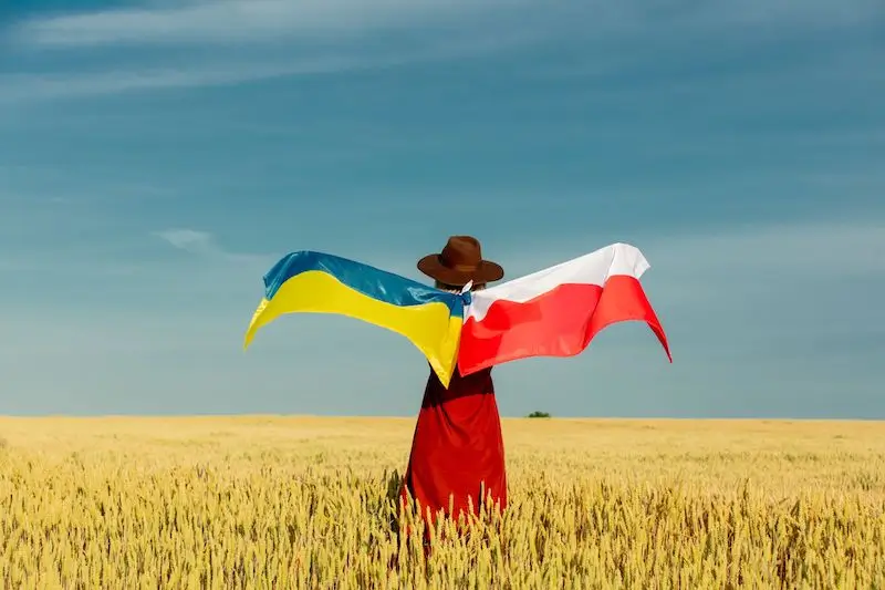 flagi - język ukraiński, tłumaczenia specjalistyczne